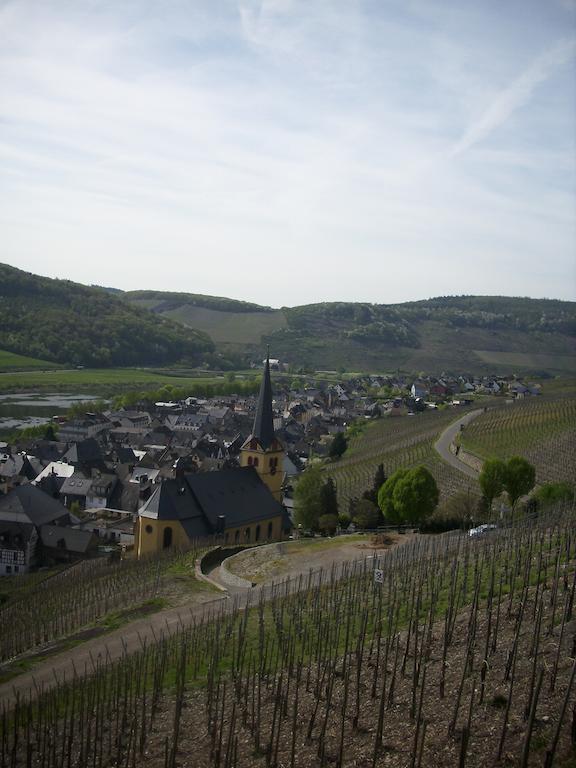 Ferienwohnung Kappes-Koppelkamm Zeltingen-Rachtig Exterior foto